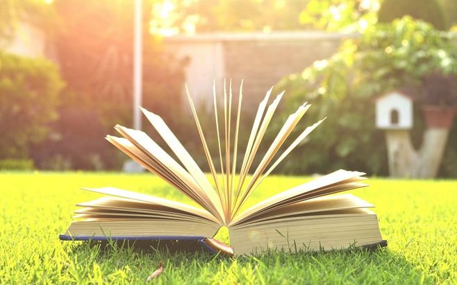 请问肉桃是谁写的，讲了什么？