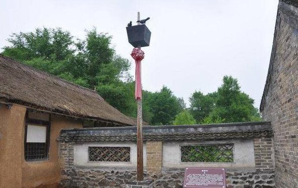 乌鸦对满族人有何意义?为何他们喜欢在皇宫养乌鸦?