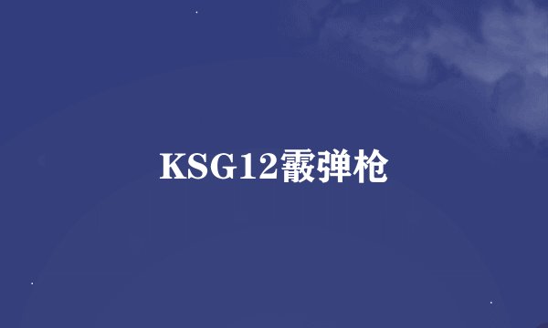 KSG12霰弹枪