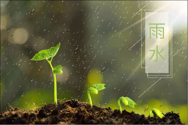 有关雨水的古诗