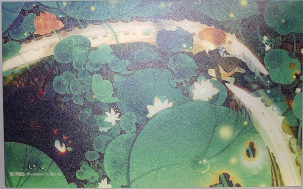 白夜森林的介绍