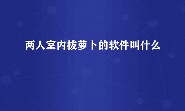 两人室内拔萝卜的软件叫什么