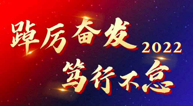 踔厉奋发,笃行不怠的意思