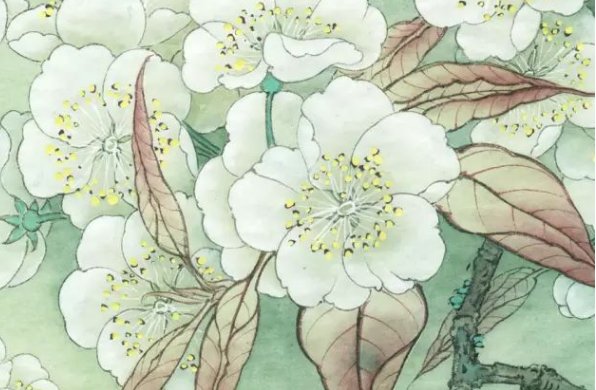 戒尺打花蒂水肿原文