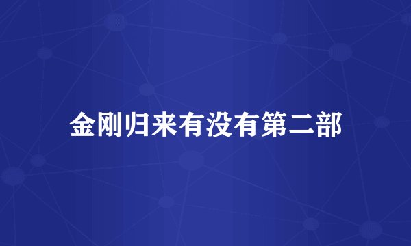 金刚归来有没有第二部