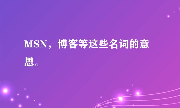 MSN，博客等这些名词的意思。
