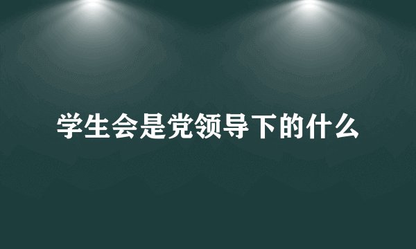 学生会是党领导下的什么