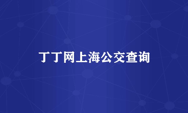 丁丁网上海公交查询