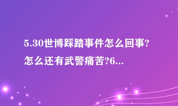 5.30世博踩踏事件怎么回事?怎么还有武警痛苦?6.9圣战又是怎么回事?