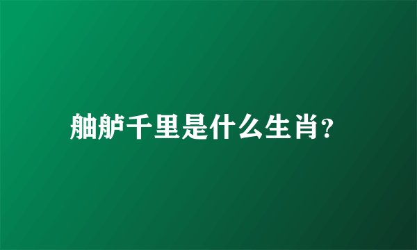 舳舻千里是什么生肖？