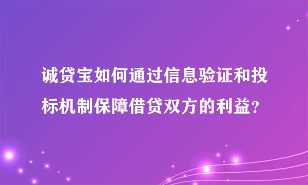 诚贷宝如何通过信息验证和投标机制保障借贷双方的利益？
