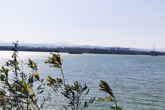 宽宽的什么填空词语一年级