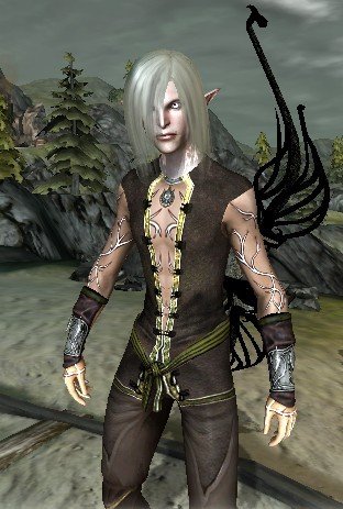 龙腾世纪2字幕是英文