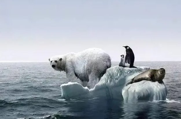 当代国际社会讨论的全球气候变化问题主要是指