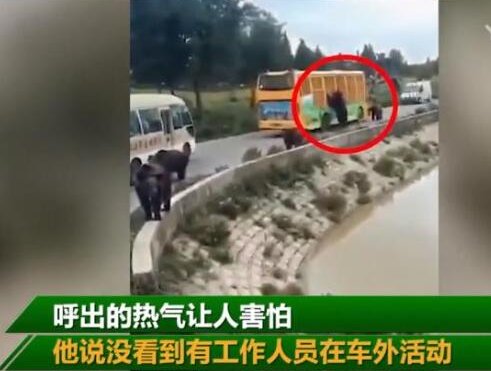 游客讲述上海野生动物园游览经历说了什么？