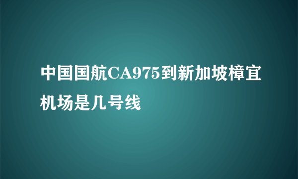 中国国航CA975到新加坡樟宜机场是几号线