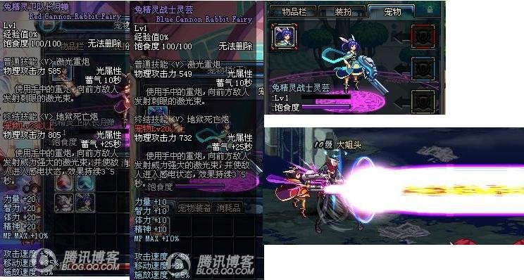 dnf兔年宠物礼盒会给什么