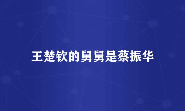 王楚钦的舅舅是蔡振华