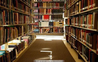 参考文献中的M代表什么？