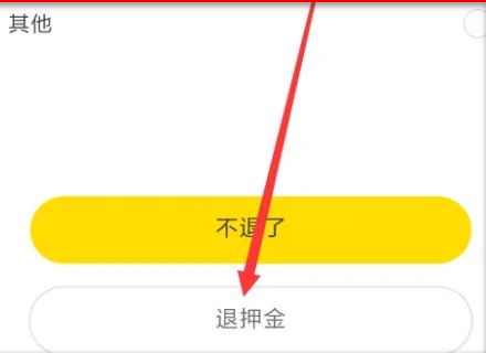 ofo押金在哪里退