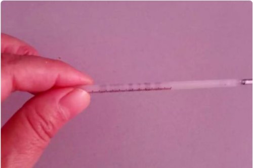 体温计怎么看水银线图片