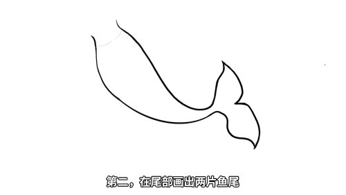 动漫美人鱼尾巴怎么画