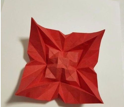 胜利花的制作法