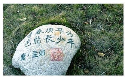 翻译孟郊写的劝学，只要翻译，（击石乃有火.....）