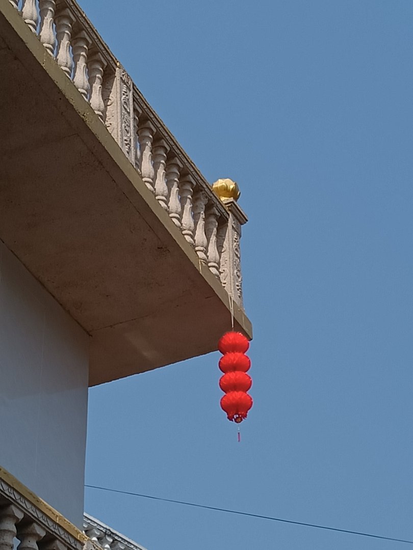 什么是大学生？大学生有什么好？