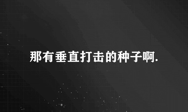 那有垂直打击的种子啊.