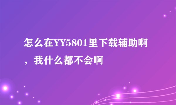 怎么在YY5801里下载辅助啊，我什么都不会啊