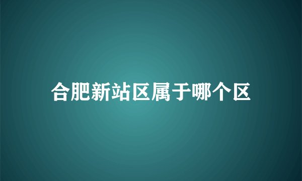 合肥新站区属于哪个区