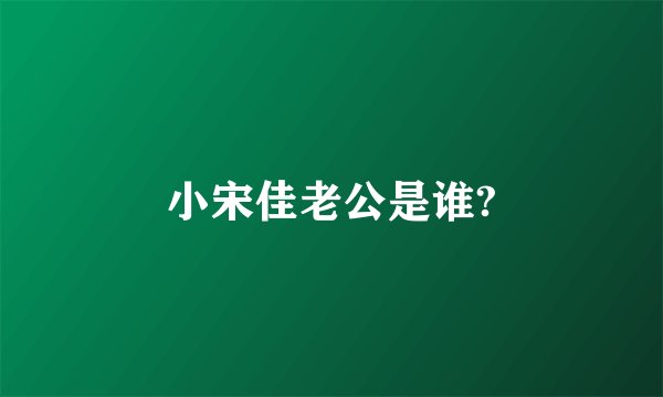 小宋佳老公是谁?