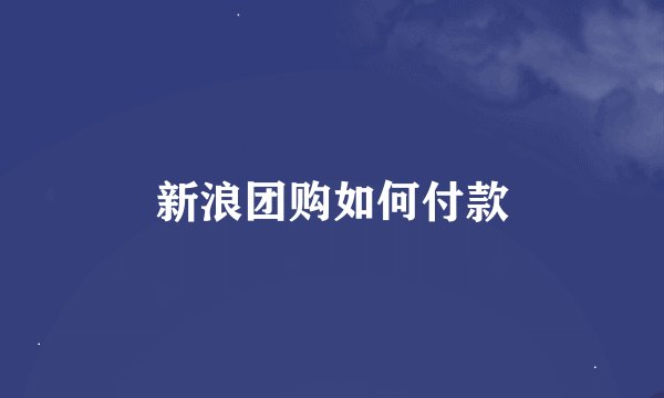 新浪团购如何付款