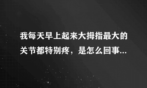 我每天早上起来大拇指最大的关节都特别疼，是怎么回事?持续好多年了