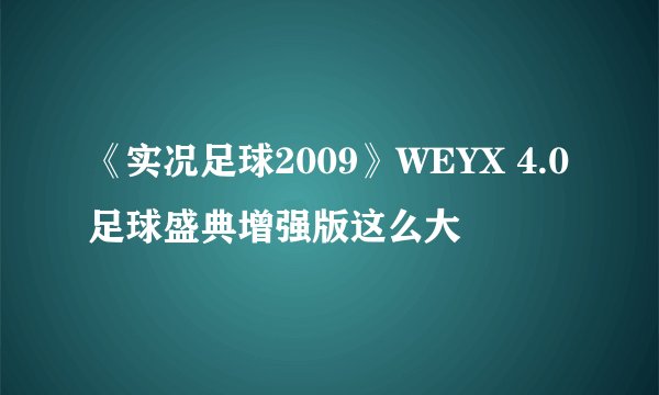 《实况足球2009》WEYX 4.0足球盛典增强版这么大