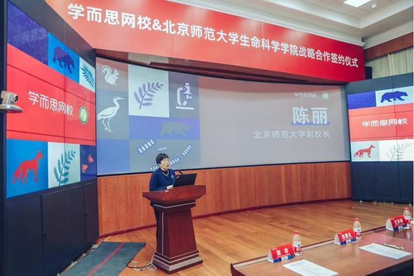 小学线上作文辅导课哪家好？