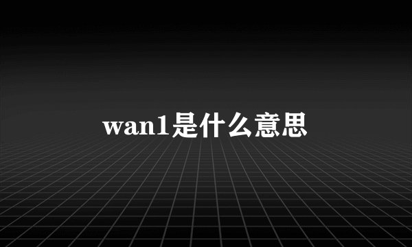 wan1是什么意思
