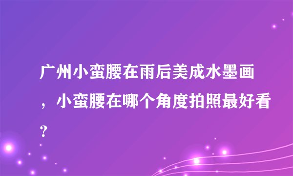 广州小蛮腰在雨后美成水墨画，小蛮腰在哪个角度拍照最好看？