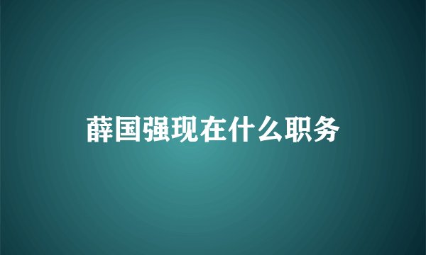 薛国强现在什么职务