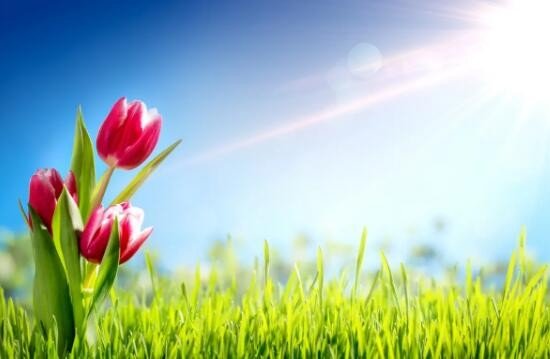 温暖的什么如何填空？