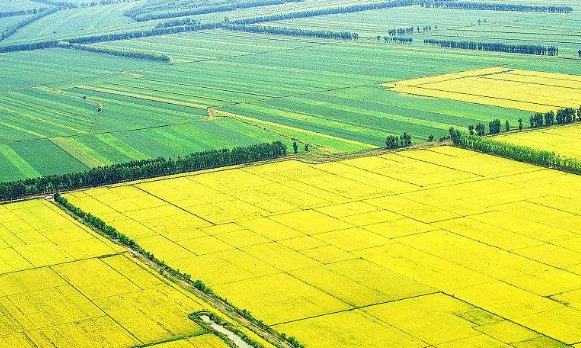 峡谷、谷地、盆地、平原、高原、丘陵、山地、怎么区分？