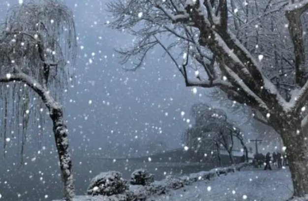 落 打 飘造句子二年级上册简单