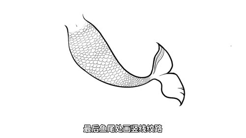 动漫美人鱼尾巴怎么画