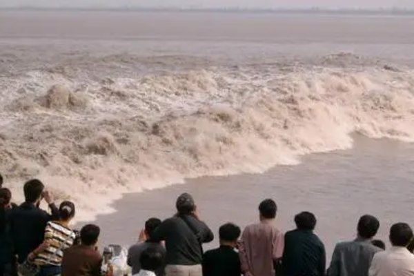 《观潮》的生字词有哪些？