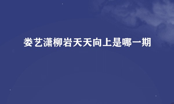 娄艺潇柳岩天天向上是哪一期