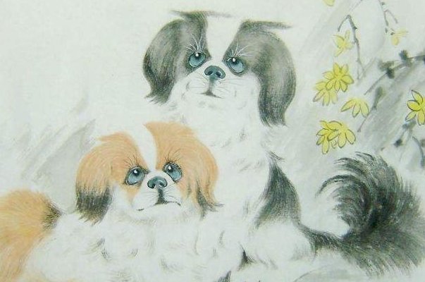 不进油盐打一正确生肖