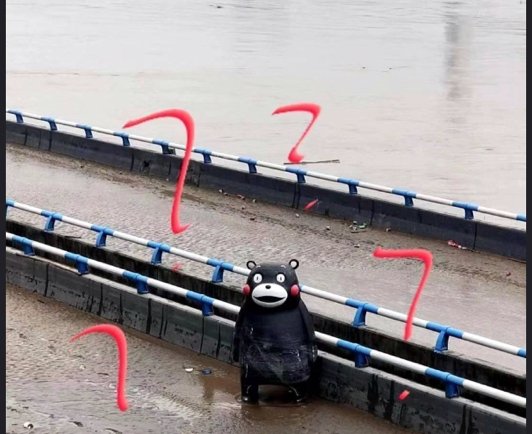 重庆洪水中的“懵逼熊”还在江里漂，它有可能漂到上海去吗？