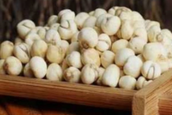 甘苦是什么意思