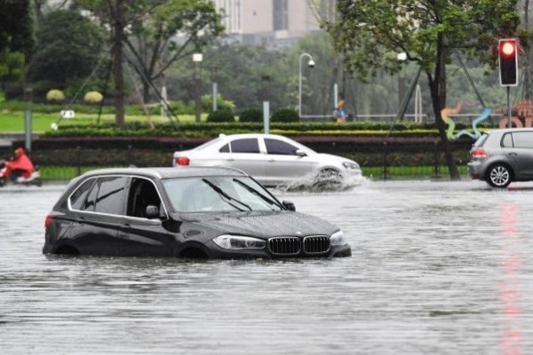 重庆暴雨袭城：大蛇被冲到马路，现场情况如何？